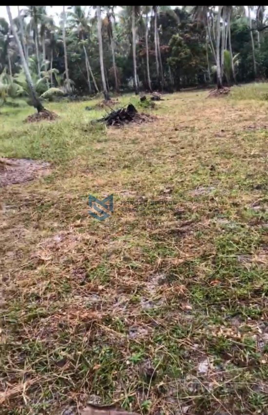sitio-venda-massagueira-litoral-sul-de-alagoas-marechal-deodoro-1126242