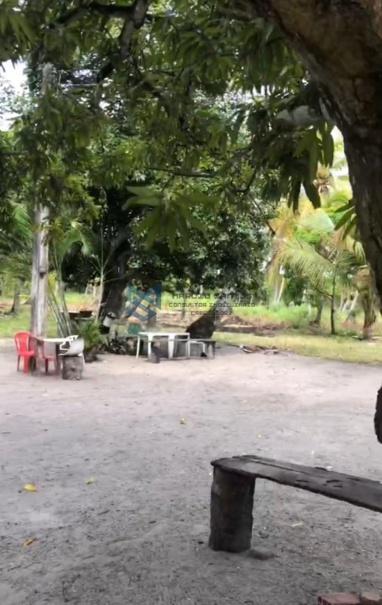 sitio-venda-massagueira-litoral-sul-de-alagoas-marechal-deodoro-1126245