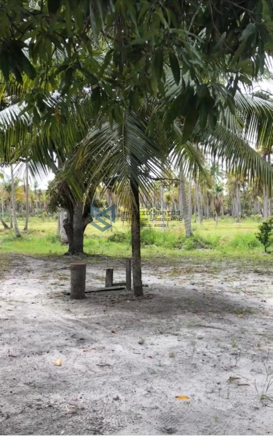 sitio-venda-massagueira-litoral-sul-de-alagoas-marechal-deodoro-1126246