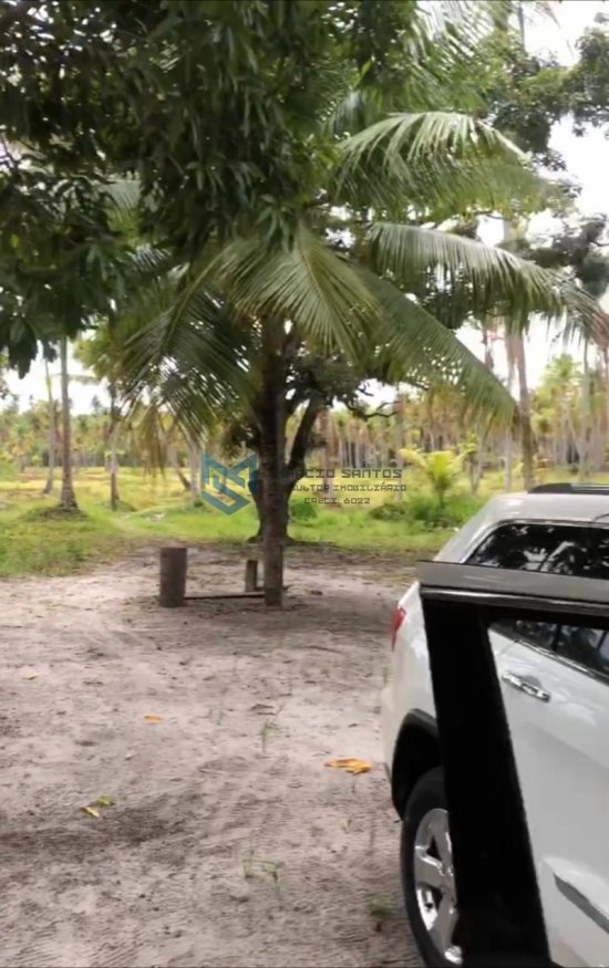 sitio-venda-massagueira-litoral-sul-de-alagoas-marechal-deodoro-1126247