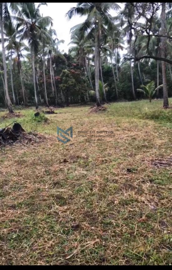 sitio-venda-massagueira-litoral-sul-de-alagoas-marechal-deodoro-1126248