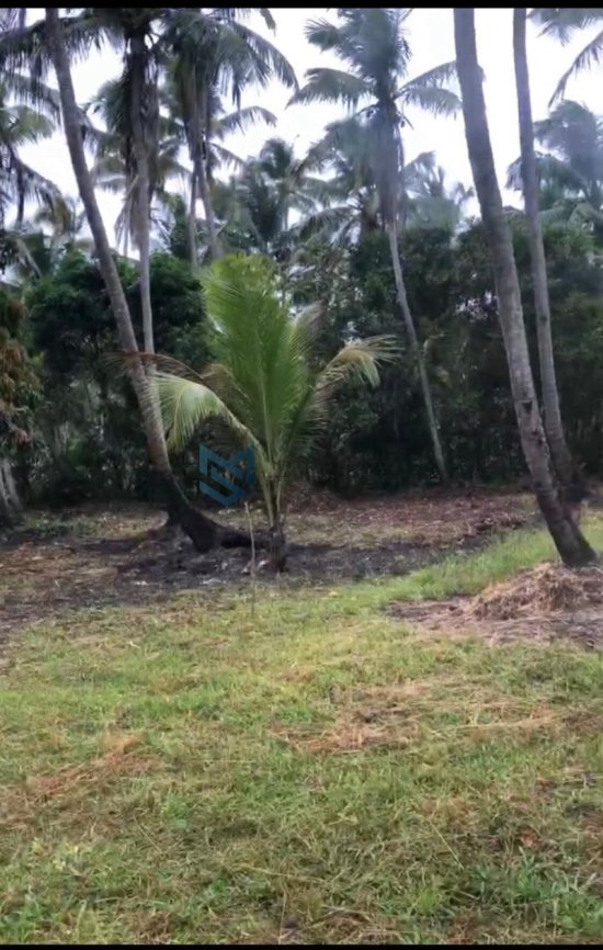 sitio-venda-massagueira-litoral-sul-de-alagoas-marechal-deodoro-1126249